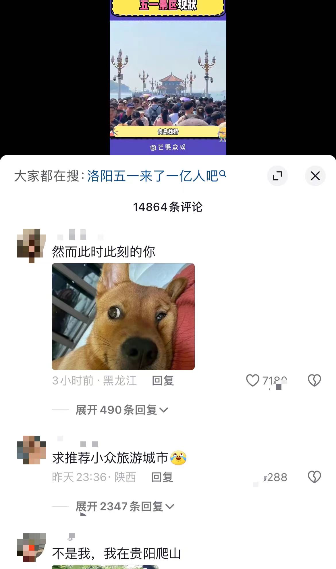 内容图片